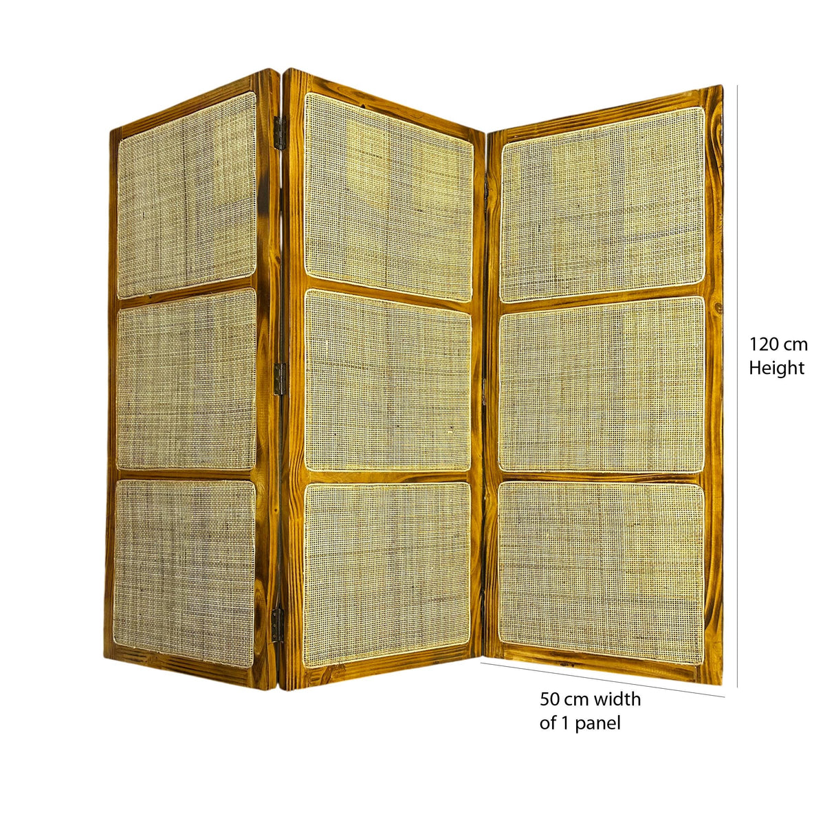 Handmade Rattan Cane Room Divider, Solid Wood Folding Screen, Boho Privacy Partition